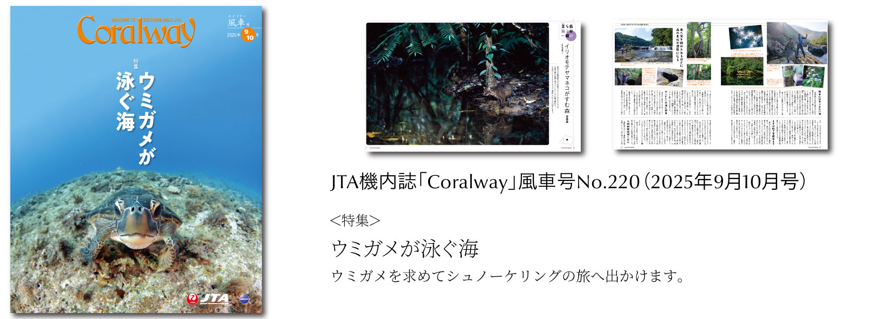 ＪＴＡ機内誌「Coralway」風車号（No.220)