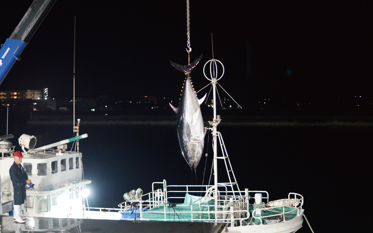 沖縄県産マグロ