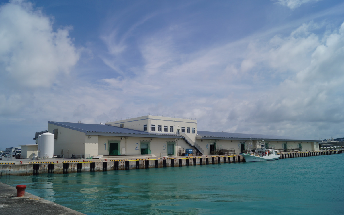 沖縄県産マグロ