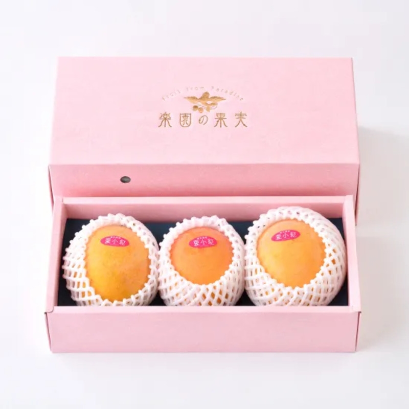 沖縄県産マンゴー