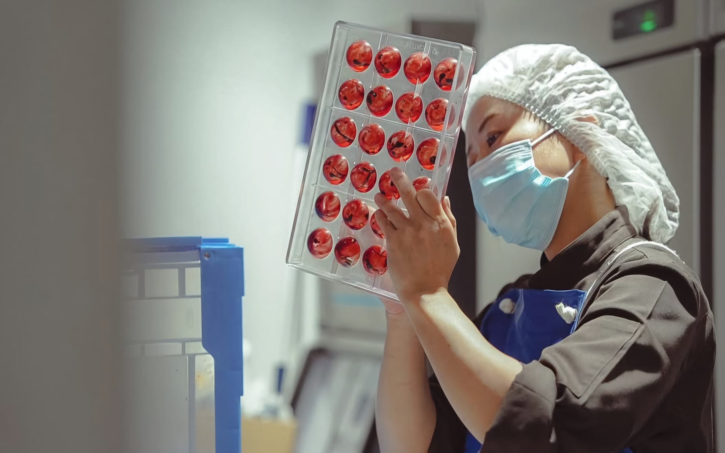 沖縄チョコレート