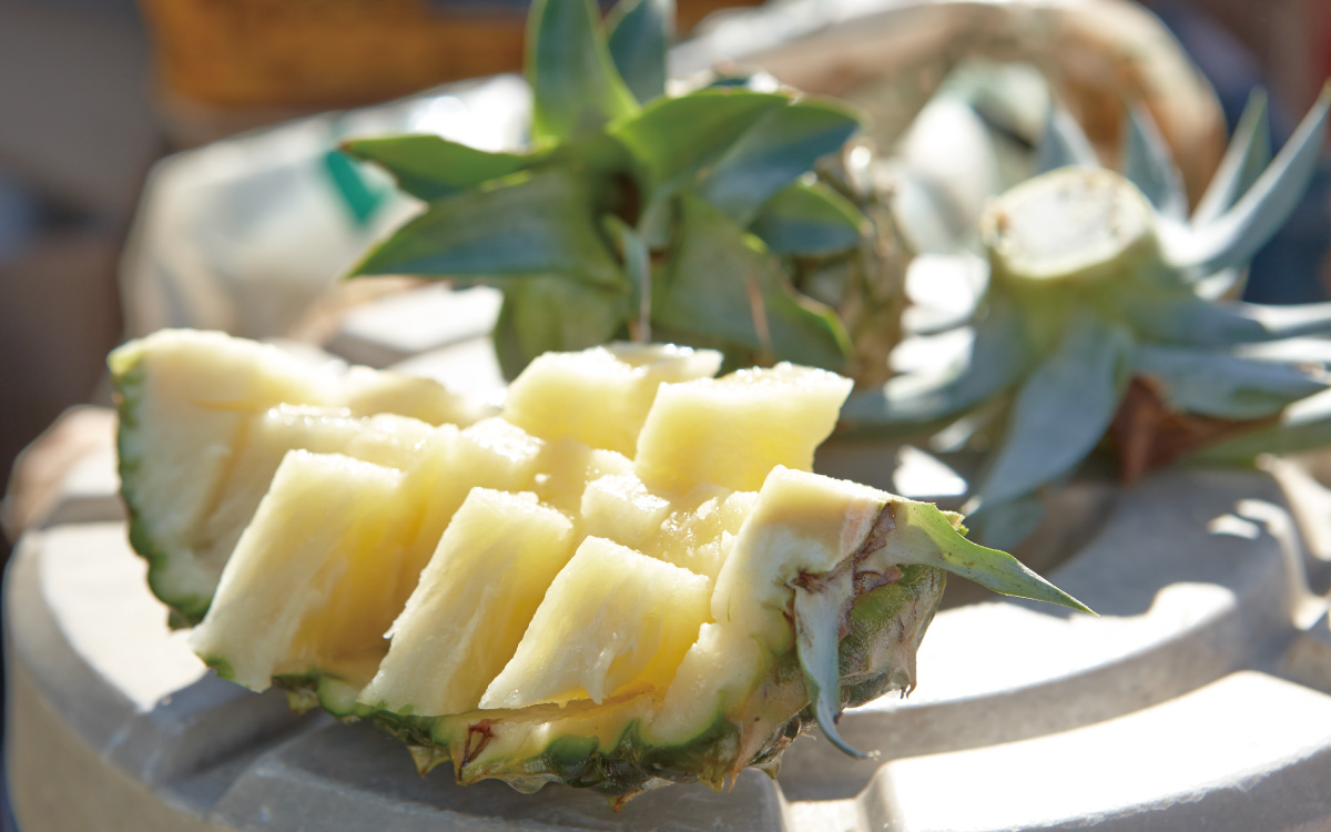 沖縄県産パインとは