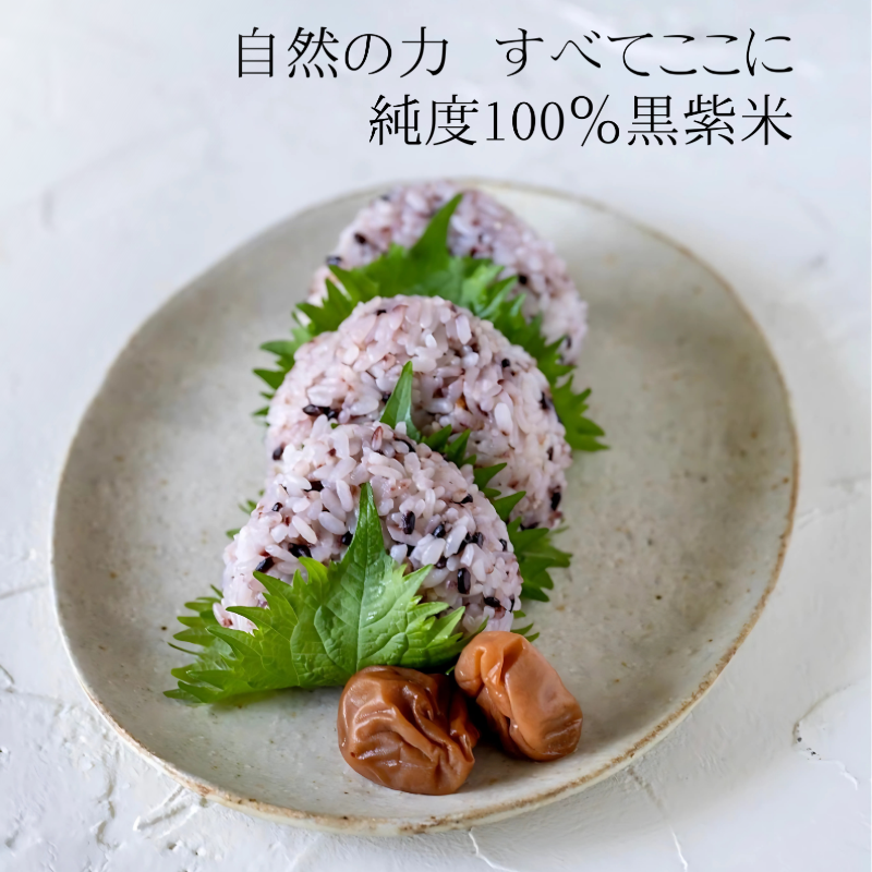 八重山諸島とは