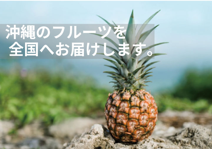 沖縄フルーツギフト