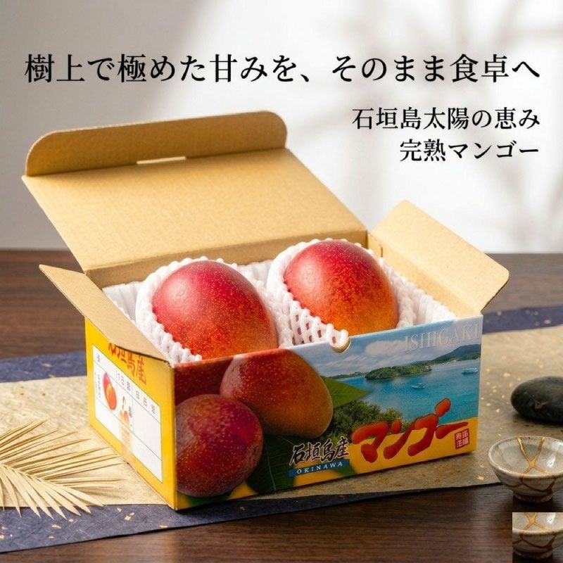 石垣島産 完熟マンゴー 約1kg(2-3玉): 食品／Food｜マイルが2倍たまる