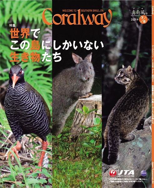 ＪＴＡ機内誌「Coralway」真南風号（No.195)